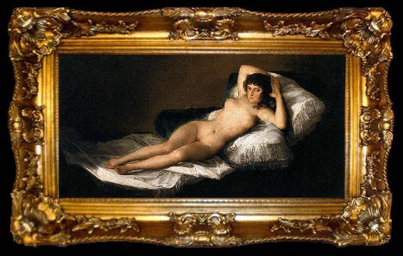 framed  Francisco Goya The Nude Maja, ta009-2
